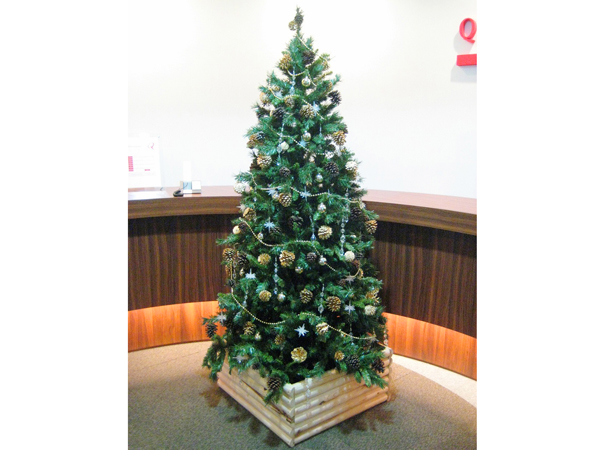 代々木オフィス クリスマスツリー