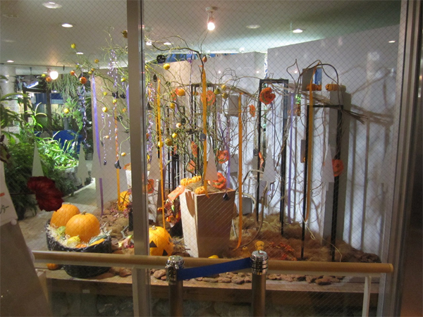 渋谷区ふれあい植物センター ハロウィン装飾