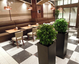 14 新宿 東口 中村屋 ビル レストラン 観葉植物 造花 アレンジ