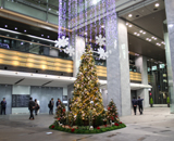 14 新宿 ミナミルミ2014 マインズタワー クリスマス 装飾 雪の光が舞い降りる 森 街 雪
