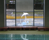 東京 辰巳国際水泳場 プール イルミネーション カッティングシート 装飾