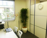 15 中野坂上 オフィス 観葉植物レンタル