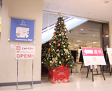 新横浜 プリンスぺぺ クリスマス 装飾 モミの木