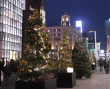 銀座ヒカリミチ 2015年 銀座中央通り クリスマス 装飾 イチイ ウッドチップ