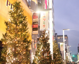 銀座ヒカリミチ 2015年 銀座中央通り クリスマス 装飾 イチイ ウッドチップ