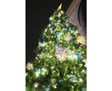 二子玉川ライズ クリスマスツリー 装飾