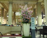 中央区 銀行 エントランス 桜装飾