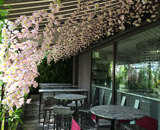 六本木 ラウンジカフェ 桜装飾