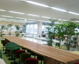 16 大阪市 北区 設計事務所 観葉植物 リース オフィス