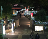 16 新橋 高輪 川崎 久里浜 商業施設 クリスマス装飾 イルミネーション