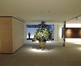 16 麻布 新築マンション 生 モミの木 クリスマスツリー