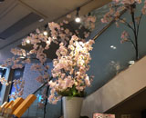 17 銀座 木村屋 室内 桜 造花 装飾