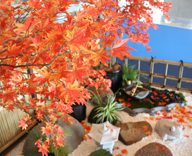 17 晴海客船ターミナル 日本庭園 秋 季節装飾