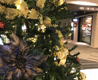 17 新宿ヒルトン 地下 ケイフォトサービス ヒルトピア クリスマスツリー 装飾