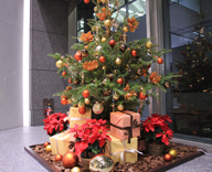 17 八丁堀 綜通ビル エントランス クリスマスツリー 装飾