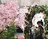18 新横浜 プリンスペペ 桜装飾