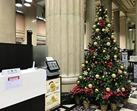 中央区 銀行 エントランス クリスマスツリー