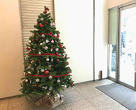 渋谷 日本橋 八重洲  オフィスビル エントランス クリスマツリー 設置
