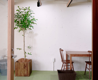 ENGLISH COMPANY 神田スタジオ レンタル 観葉植物 設置