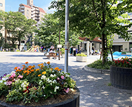 21 中央区 花の都中央区宣言 アドプト制度 花咲く街角花壇 Futa-Toki