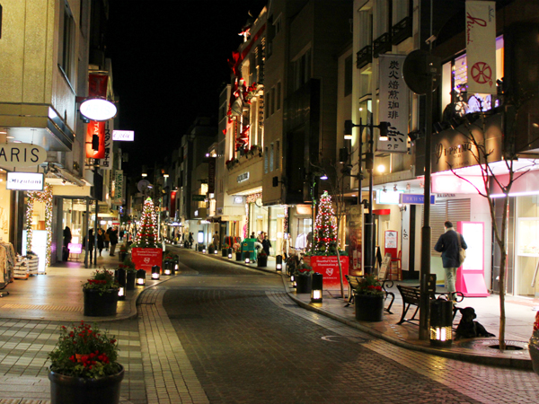 横浜元町他 フラワーツリー クリスマスツリー