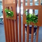 原宿企業オフィス 壁掛け観葉植物