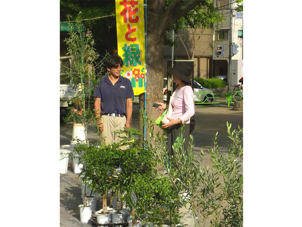 中央区花と苗木の即売会