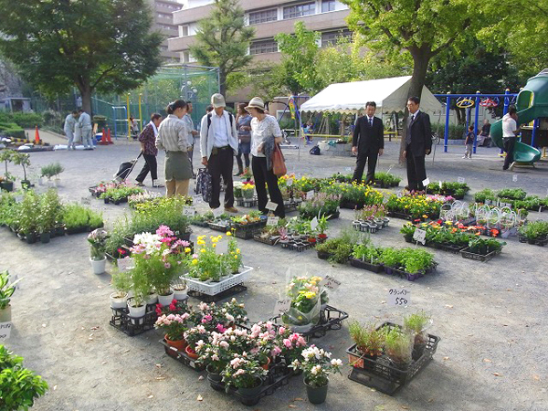 中央区花と苗木の即売会