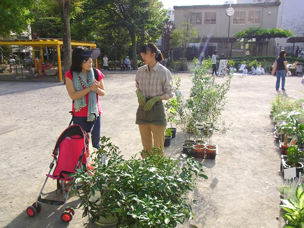 中央区花と苗木の即売会