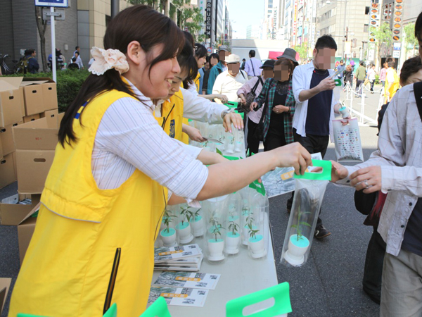 西銀座通り柳まつり 苗木配布