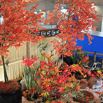 晴海客船ターミナル 造花装飾 秋装飾