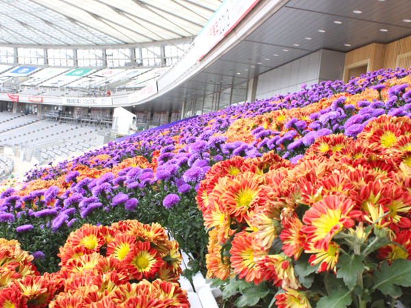 東京国民体育大会味の素スタジアム 会場装花