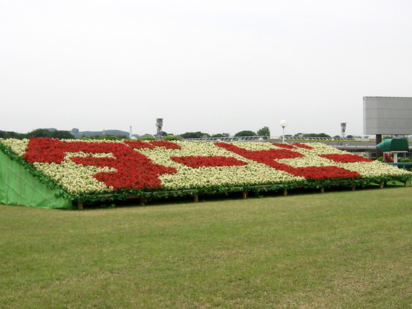 東京競馬場 花文字装飾