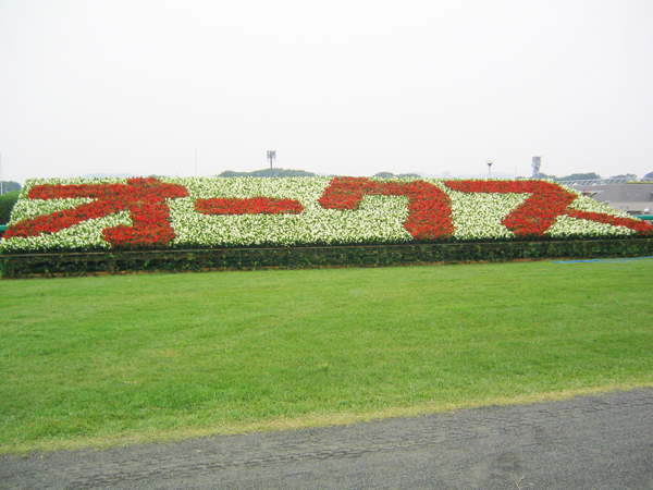 東京競馬場 花文字装飾