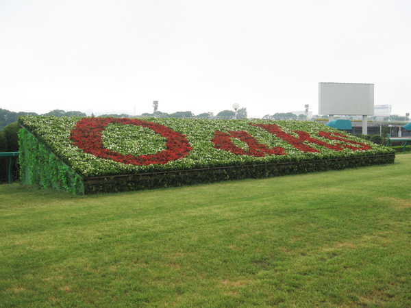 東京競馬場 花文字装飾