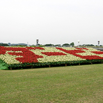 東京競馬場 花文字装飾