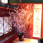 六本木レストラン 桜装飾