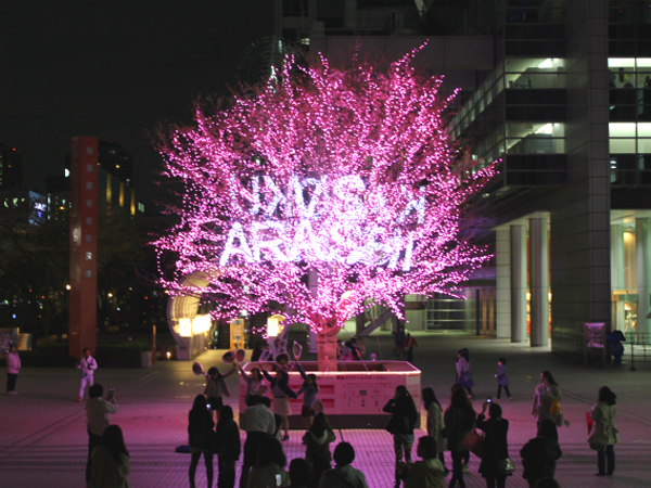 お台場イベント 桜装飾