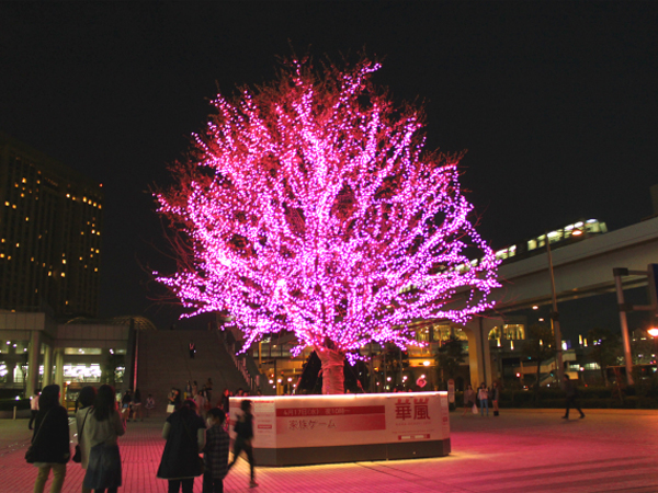 お台場イベント 桜装飾