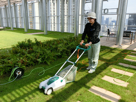 低木の刈込み、草刈り・芝刈り、消毒