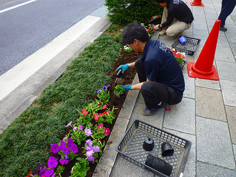 草花の植替え