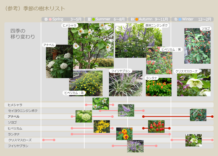 （参考）季節の樹木リスト
