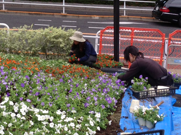 東京タワー エントランス花壇