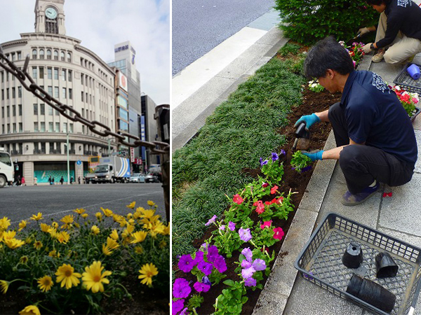 銀座の花壇