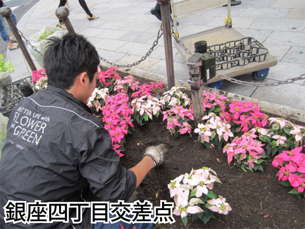 銀座の花壇