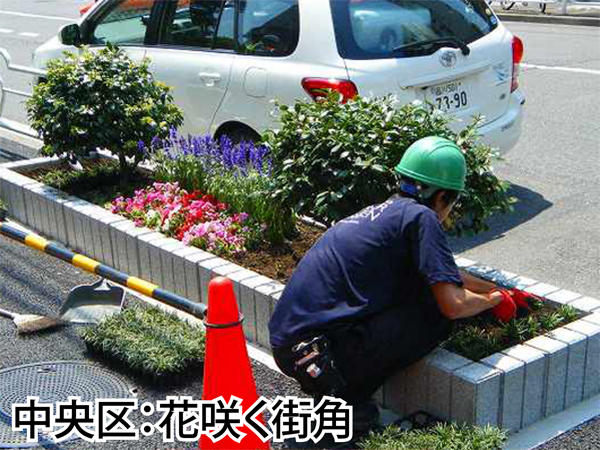 銀座の花壇