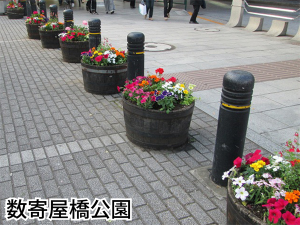 銀座の花壇