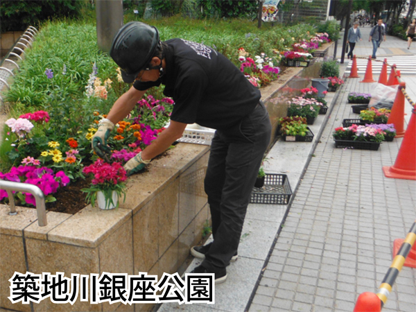 銀座の花壇