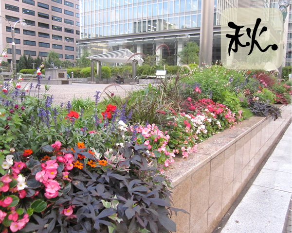 銀座の花壇