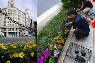 銀座の花壇